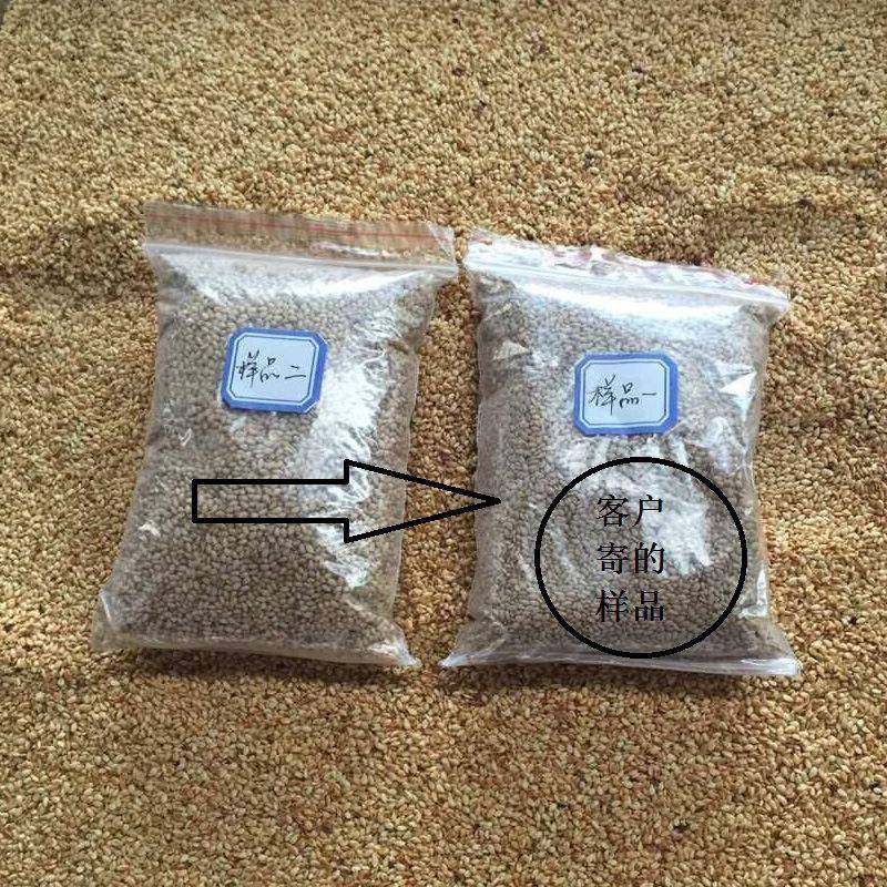 电磁炒货机全自动滚筒炒货机保健品中药材干货坚果炒货机设备,淘宝优惠券,粉丝福利购,淘宝优惠卷