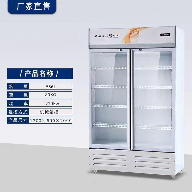 啤酒饮料冷藏展示柜商用单双门三开门网红冰柜超市酒吧立式酒水柜 - 图0