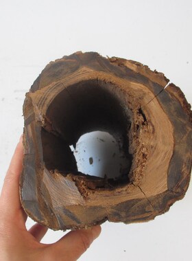 原木墩树桩树干拍摄道具手工园艺枯木装饰木摆件木底座自然风化木