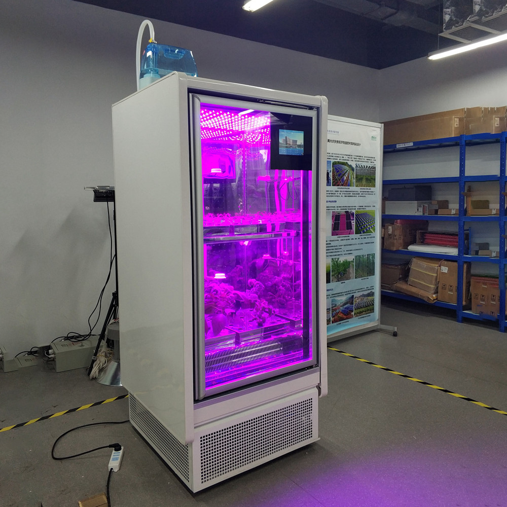 光谱植物培养箱人工培养箱光照植物发芽生长试验箱种子发芽箱 - 图1