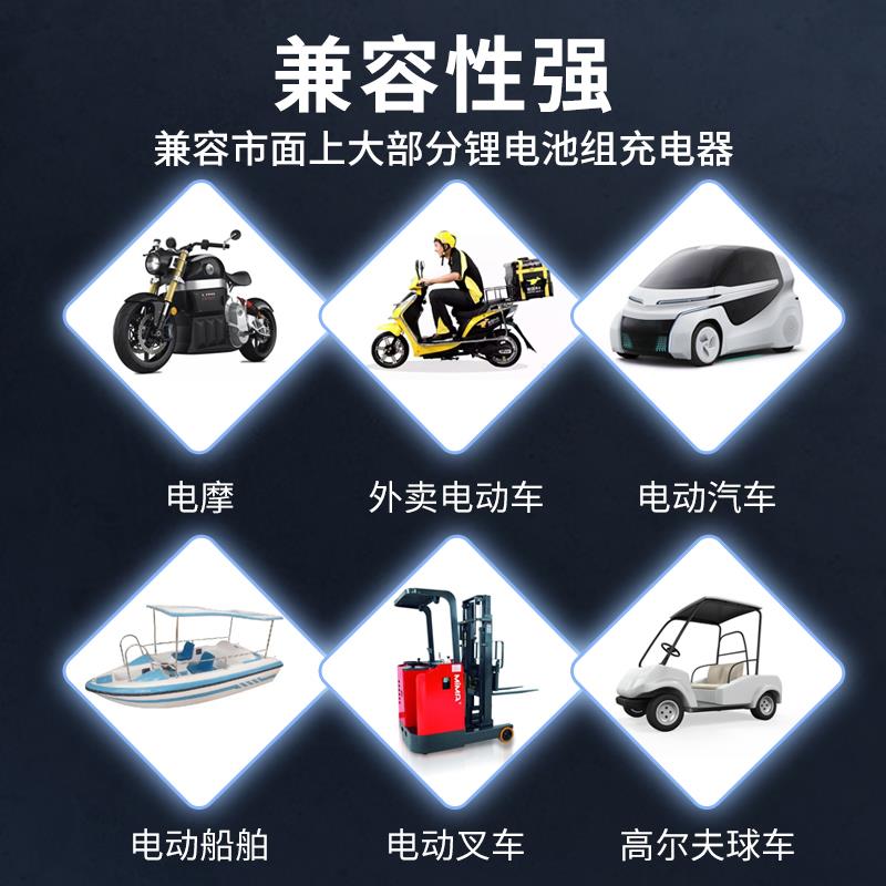 锂电池充电器48V60V72V5A6A9A10A三元磷酸铁锂电瓶专用大功率铝壳 - 图3