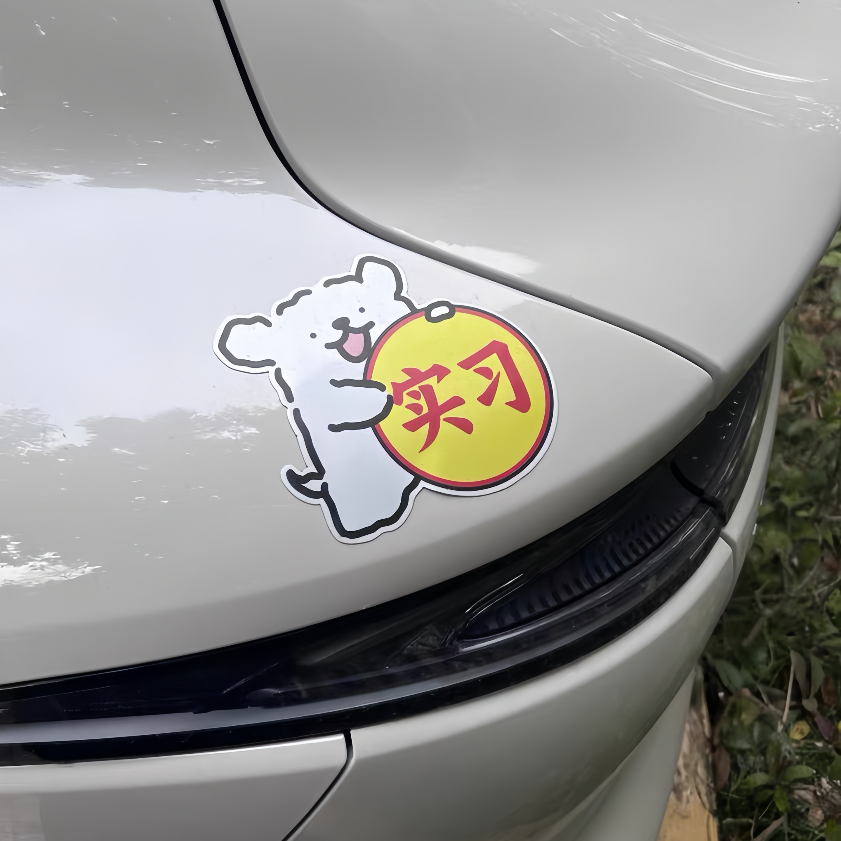 【实习必备】卡通个性实习车贴新手司机磁性贴醒目新手上路标识 - 图0