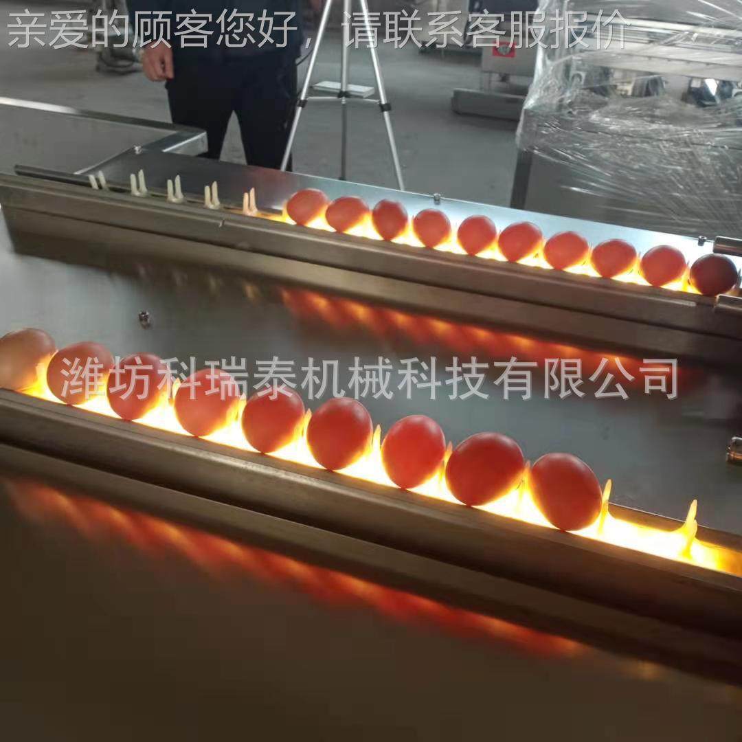 水洗鸡蛋机KZW器 排循水环洗蛋机中小型全动鸡三蛋清洗机自 自动,淘宝优惠券,粉丝福利购,淘宝优惠卷