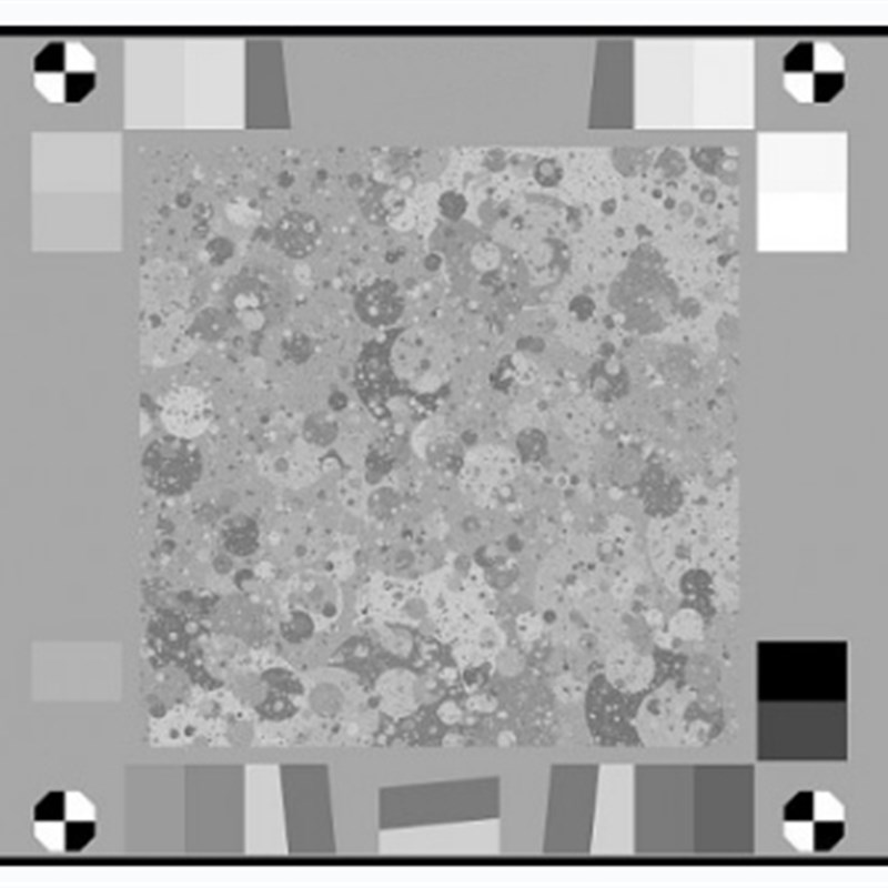 纹理枯叶图 枯叶落币测试 枯叶测试灰卡噪点测试卡落币图chart - 图0