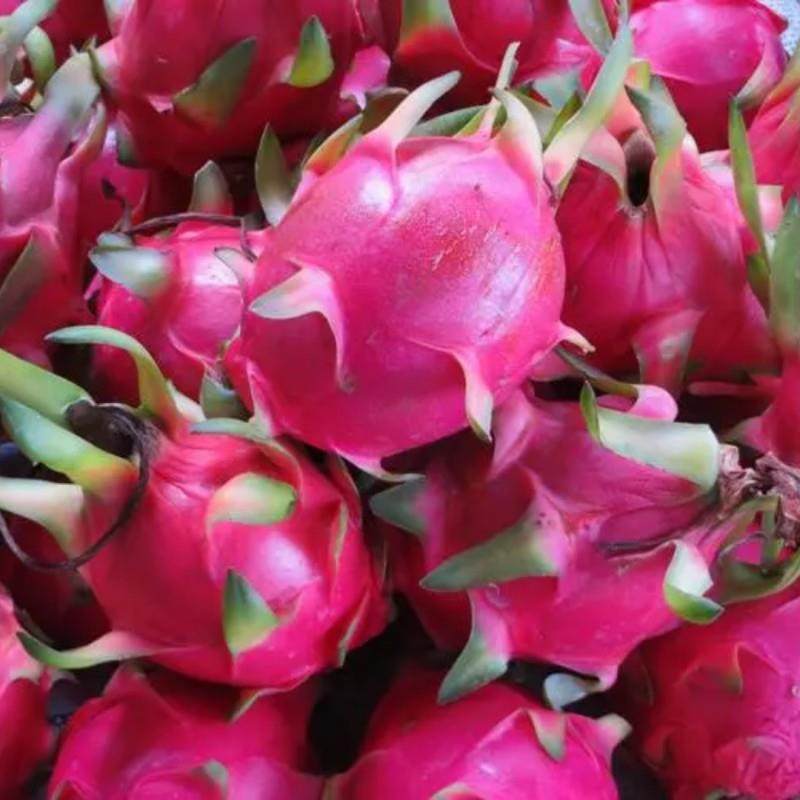 鲍鱼大小称重分拣机金鲳鱼重量分选机海蛎子牡蛎海鲜分拣设备,淘宝优惠券,粉丝福利购,淘宝优惠卷