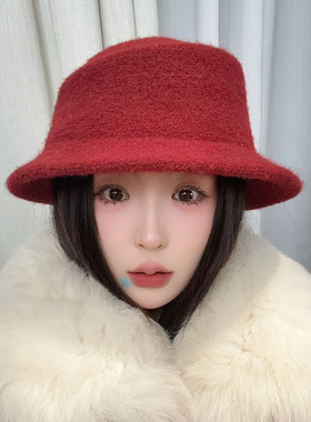 秋冬羊毛圆顶盆帽女显脸小