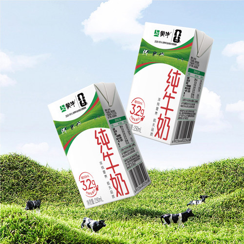 【9月产】蒙牛纯牛奶250ml*24盒整箱中老年营养早餐奶学生奶 - 图2