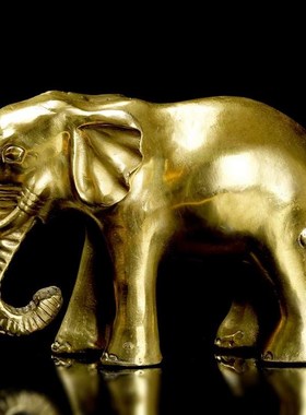 纯铜大象摆件一对铜象招客厅玄关财位吸水象特大号铜大象工艺品