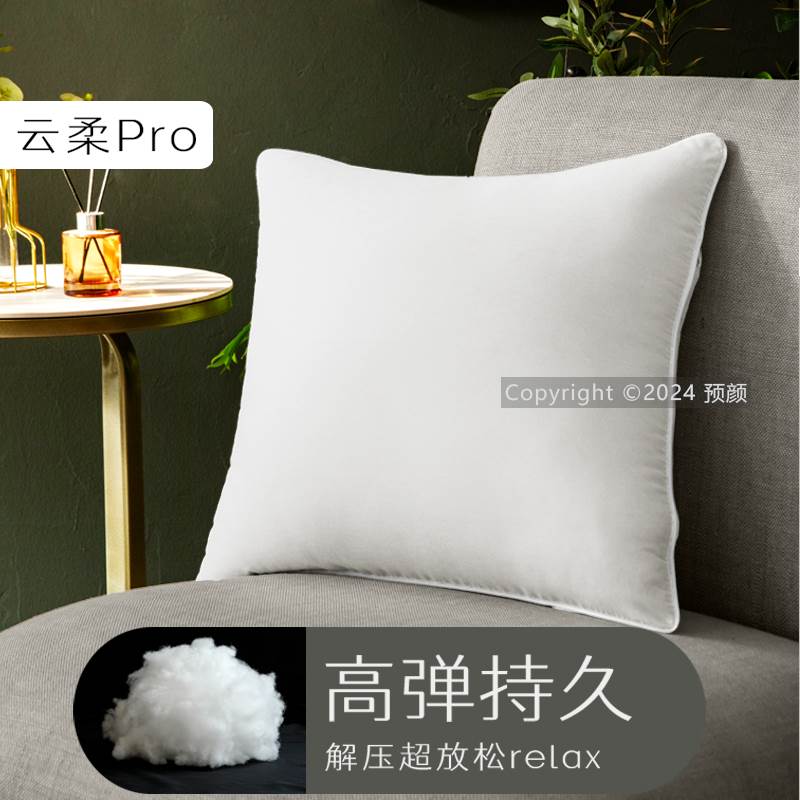 抱枕芯45x45cm大靠枕芯皮内胆套沙发靠垫x60x65x80床上长方形x85 - 图2