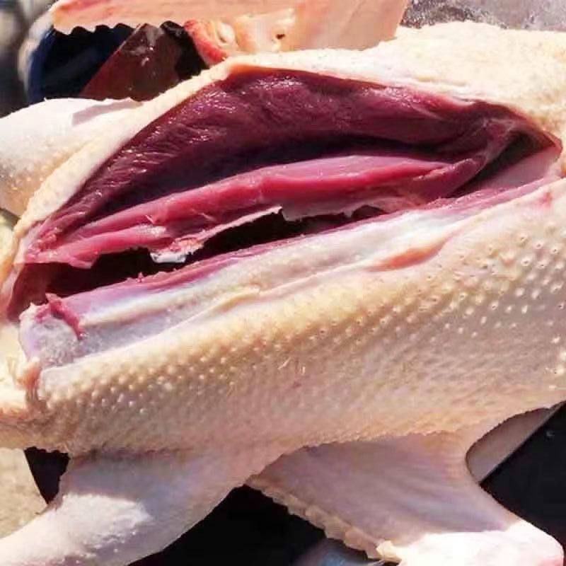 【整只大雁鹅】新鲜现杀大雁非大鹅整只大鹅鹅肉农家散养散养正宗,淘宝优惠券,粉丝福利购,淘宝优惠卷