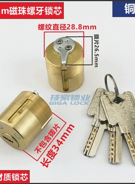宾馆酒店门锁芯磁珠螺纹锁芯刷卡锁电子门锁锁头美标螺牙锁头锁芯