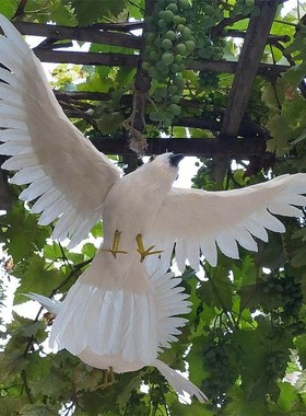 仿真羽毛鸽子和平鸽白鸽摄影道具橱窗婚庆装饰家居园林鸽子模型