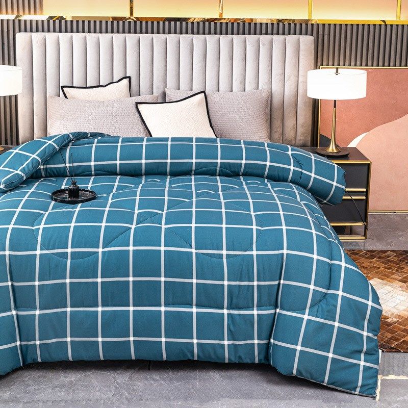 四季双人宿舍单件加厚被子新款洛卡棉冬被学生被四季被仿棉被芯,淘宝优惠券,粉丝福利购,淘宝优惠卷