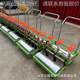 Onion, vegetable oil, radish seedling sowing machine, spoon-type spinach coriander TOV on demand machine, Bupleurum, Salvia miltiorrhiza, windproof and anti-wind