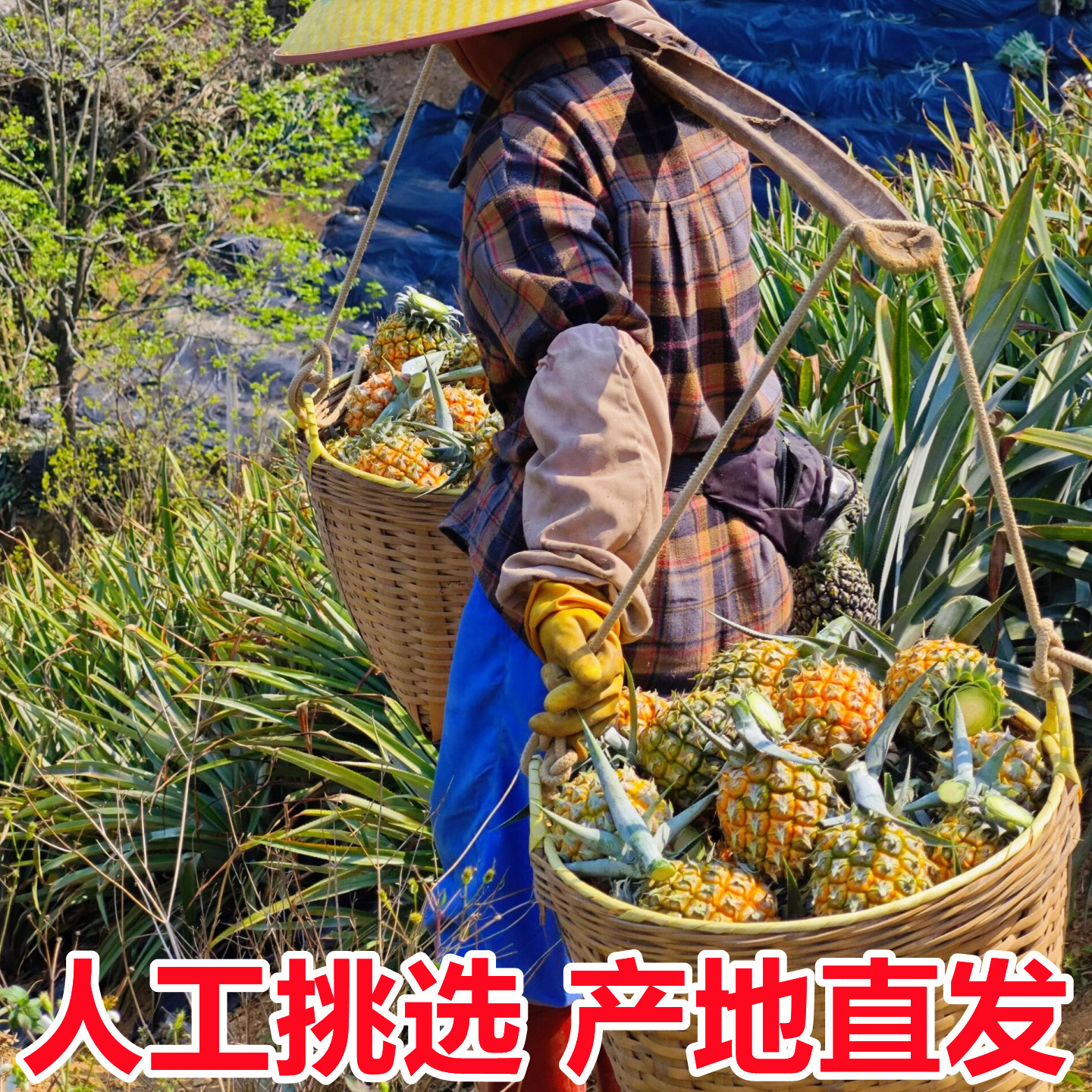 图5