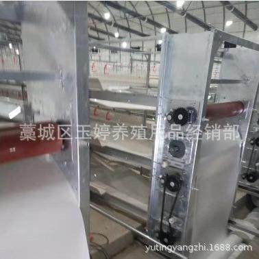 供应蛋鸡笼自动捡蛋机自动层叠蛋鸡笼 捡蛋带蛋集蛋一体机热镀锌,淘宝优惠券,粉丝福利购,淘宝优惠卷