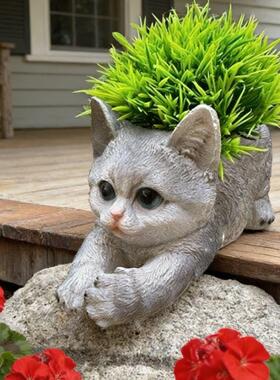 小猫花盆庭院园种绿植装饰