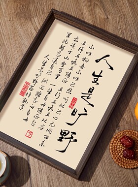 人生是旷野书法相框字画客厅书房茶室摆件挂画自由开阔人生境界