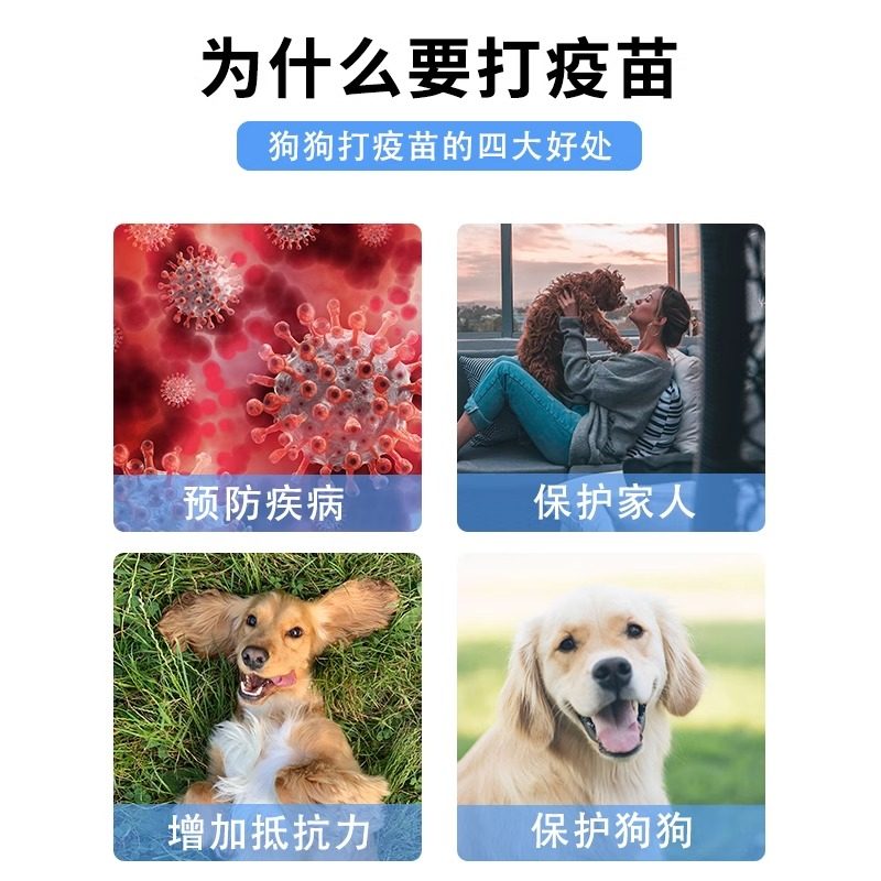 英特威犬疫苗四联狗狗疫苗犬瘟细小狗育苗预防针成犬幼犬疫苗套装,淘宝优惠券,粉丝福利购,淘宝优惠卷