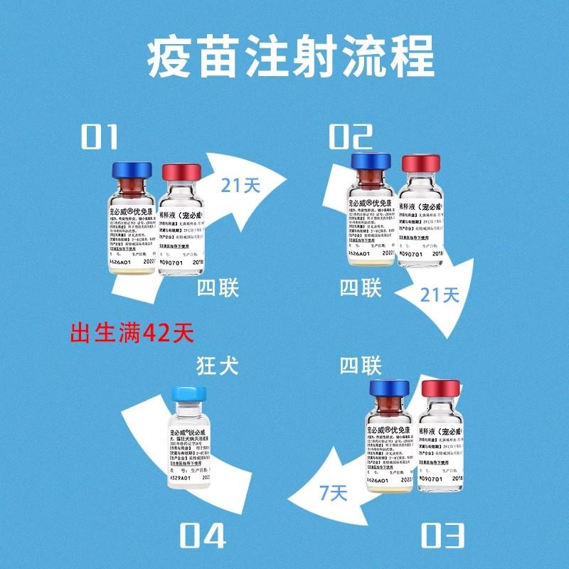 英特威犬疫苗四联狗狗疫苗犬瘟细小狗育苗预防针成犬幼犬疫苗套装,淘宝优惠券,粉丝福利购,淘宝优惠卷