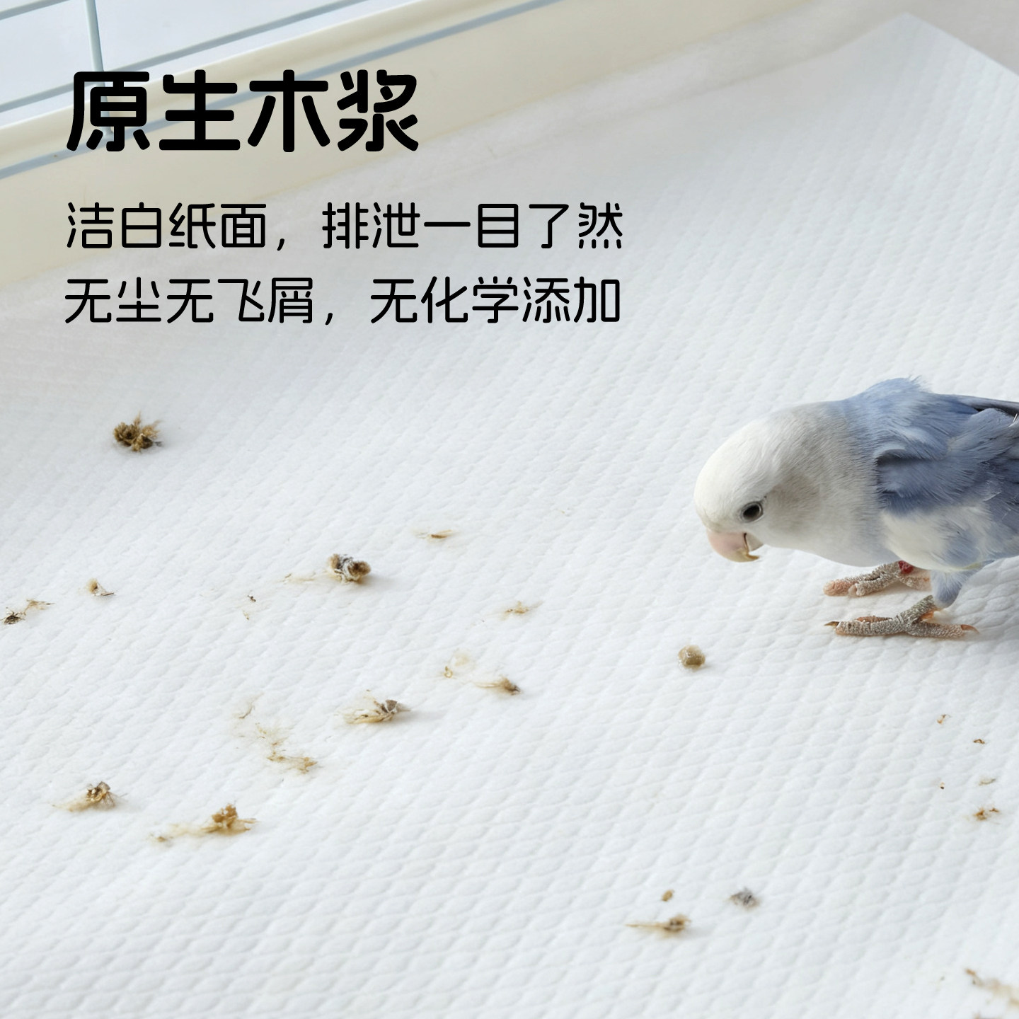 新派宠物鸟用垫材达洋鸟笼垫纸垫料家养鹦鹉笼清洁鸟便托盘接粪纸,淘宝优惠券,粉丝福利购,淘宝优惠卷