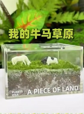 我的牛马小草坪摆件适合打工人养的迷你解压M微景观办公室工位装