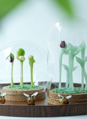 淄博琉璃豆芽盆栽玻璃罩微景观摆件创意办公桌装饰永生花治愈礼物