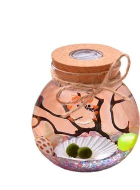 微景观苔藓植物玻璃瓶密封罐生态瓶茶叶罐带灯玻璃鱼缸菠萝瓶厂家