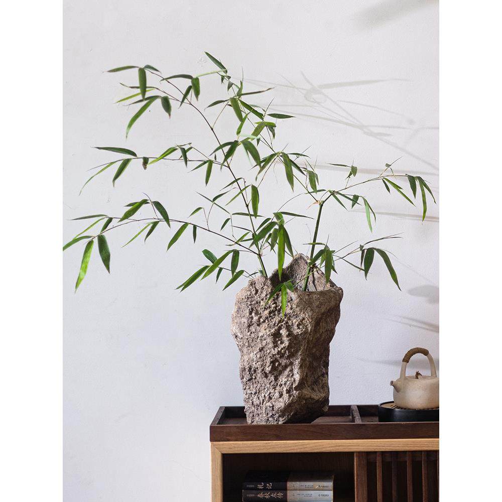 Wabi-Sabi风格彷石花瓶饰品创意水泥花筒装饰艺术覆古禅意绿色植,淘宝优惠券,粉丝福利购,淘宝优惠卷