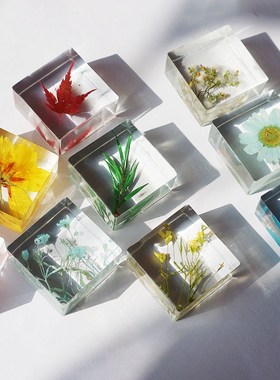 创意滴胶植物标本水晶滴胶方体干花摆件饰品挂件礼V物2颗现货成品
