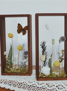 植物蝴蝶标本装饰画微景观双面透明框永生花家居桌面摆件创意礼物