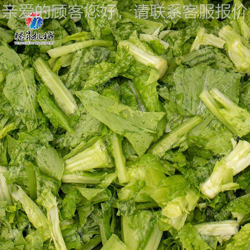 腾昇工厂产枸杞清机多功能叶RIU菜类清洗 机自 洗机器尺寸可定,淘宝优惠券,粉丝福利购,淘宝优惠卷