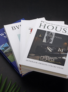 黑白灰简b约现代外文真书样板房书柜书架装饰陈列书房装饰真书摆