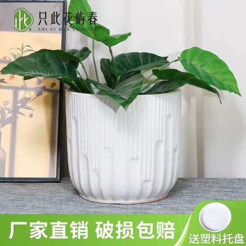 陶瓷大花盆大口径阳台客厅中小花盆纯白圆形绿萝百搭客厅阳台花盆 - 图1