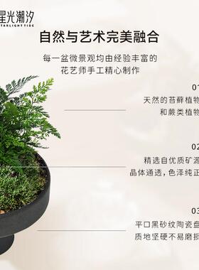 水晶摆饰高级感绿植盆景办公室桌面装饰品工位情绪稳定器生日礼物