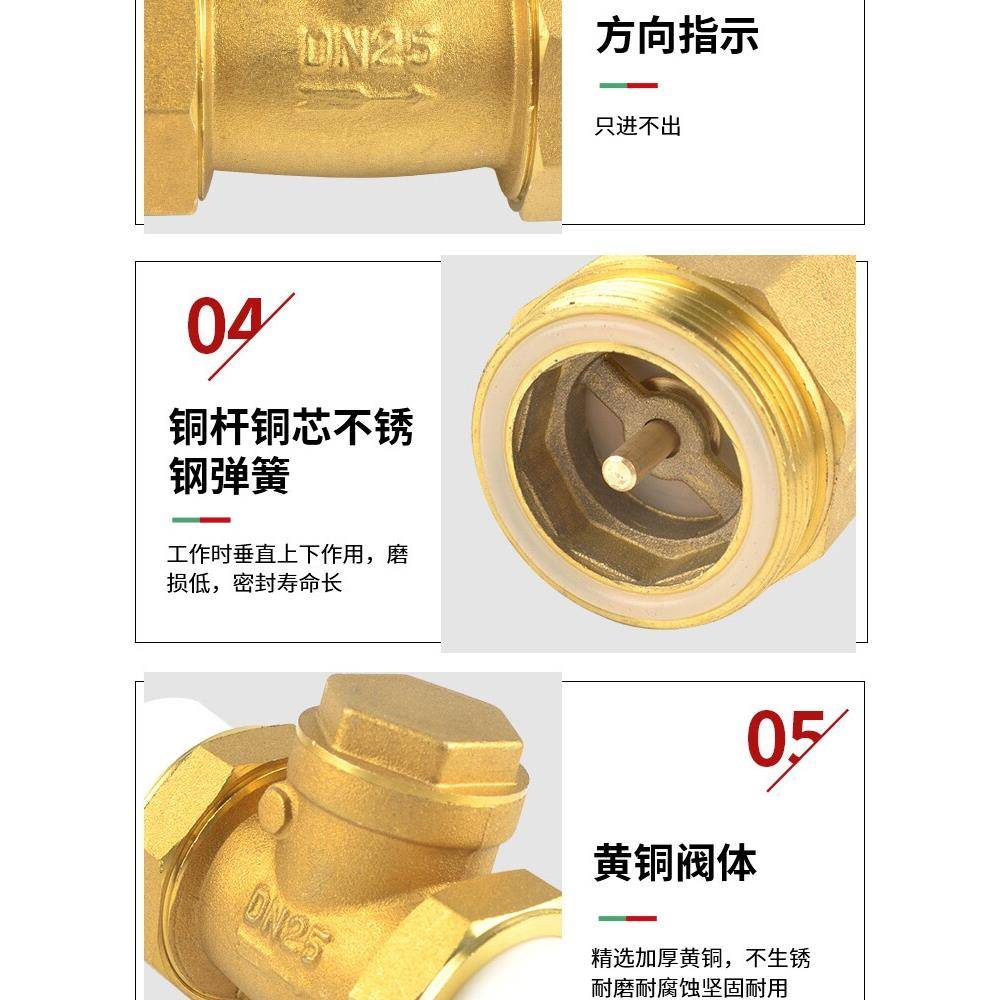4/6分热熔止回阀黄铜卧立式逆止20/25PPR双活接自来水管表单向阀 - 图0