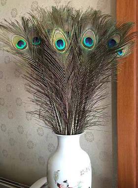 天然真孔雀羽毛翎尾大眼睛客厅摆件花瓶插花装饰品DIY配件孔雀毛