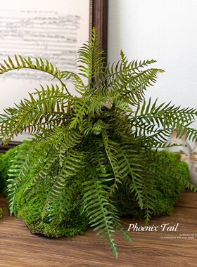 仿真蕨类植物铁线蕨波斯草仿真花
