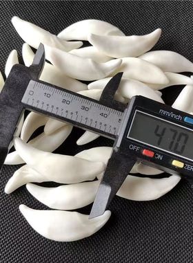 黑狗狼牙项链真狗牙红绳黑绳棕绳