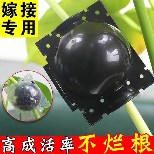 植物高压盒生根繁殖神器高空压枝盒扦插嫁接园林树木生根繁殖器 - 图2