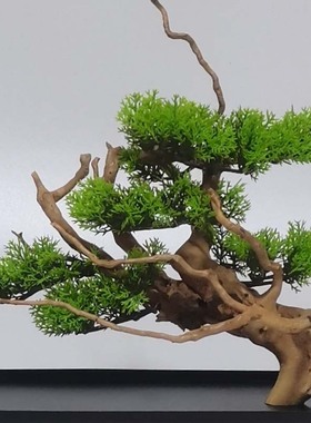 创意家居客栈酒店餐厅茶室造微景观盆景摆设树根枯木仿真植物松树
