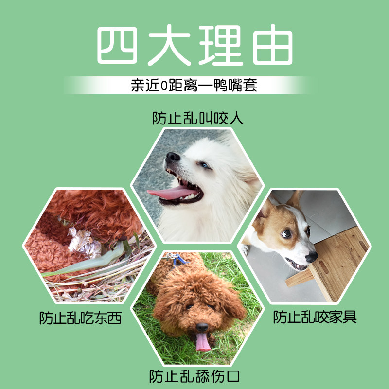 狗嘴套泰迪柯基嘴巴口套狗狗防咬嘴套防叫乱吃嘴罩宠物用品鸭嘴套,淘宝优惠券,粉丝福利购,淘宝优惠卷