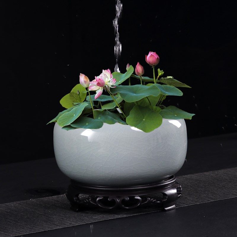 哥窑水培绿植陶瓷花盆碗莲睡莲荷花大口径专用盆缸无孔阳台一叶莲,淘宝优惠券,粉丝福利购,淘宝优惠卷