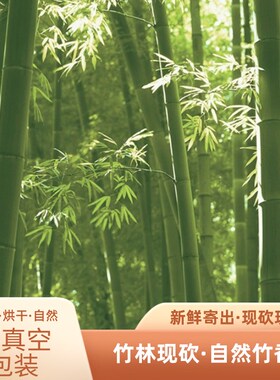 天然竹筒杯竹筒奶茶杯竹筒蜡烛杯多肉杯定制清洗烘干