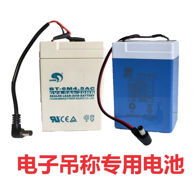 四方电子吊秤6V4.5A 百鹰3吨称铅酸电瓶 智能充电器 6V5A锂电池4A - 图0