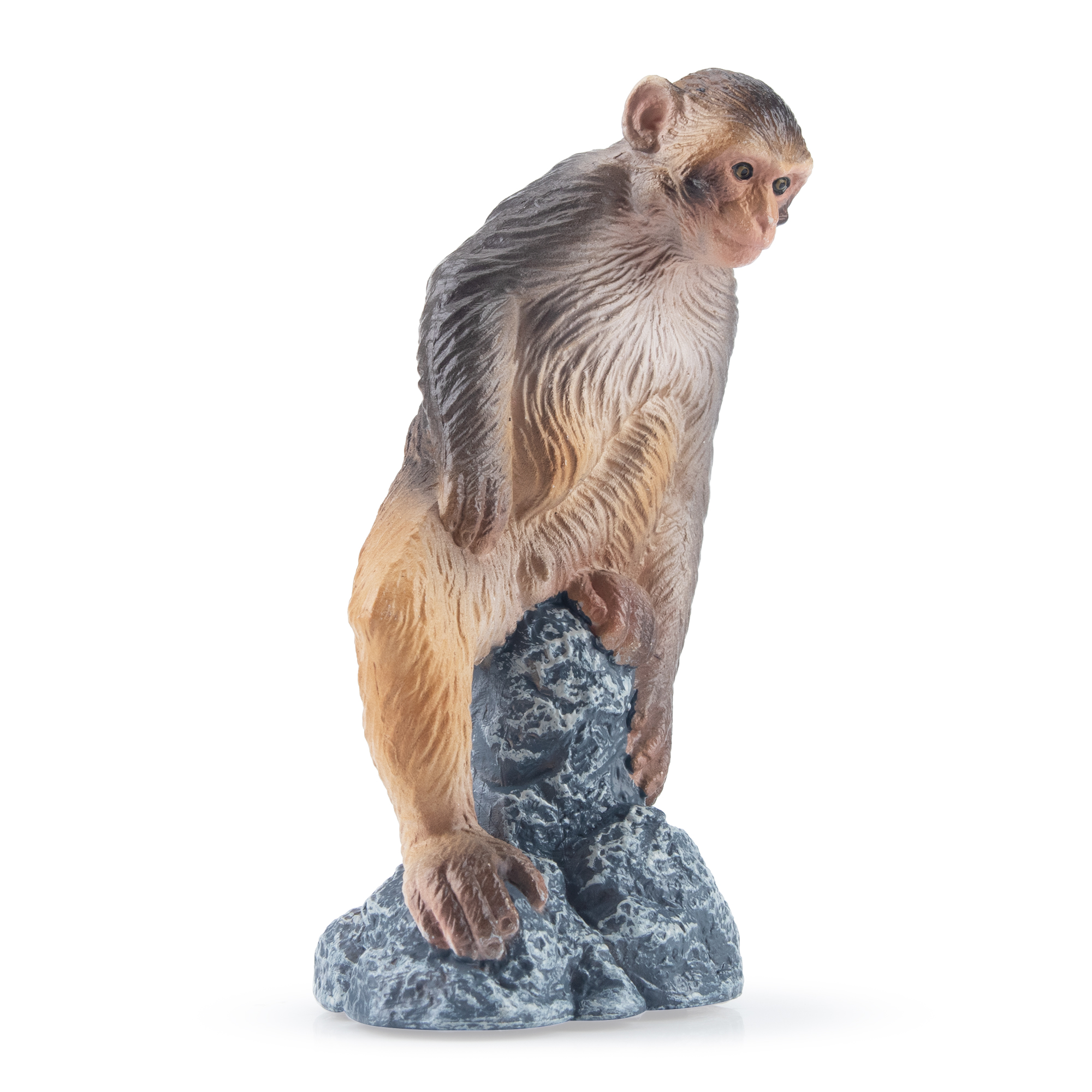 模乐玩具TOYMANY猕猴灵长类系列野生仿真动物模型猴子儿童玩具 - 图2