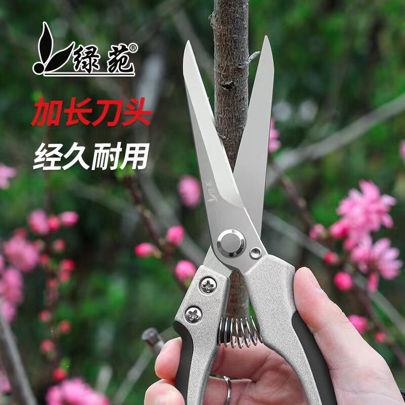 绿苑稀果剪修枝采摘剪火龙果剪刀采果神器园艺修花工具疏果摘果剪,淘宝优惠券,粉丝福利购,淘宝优惠卷
