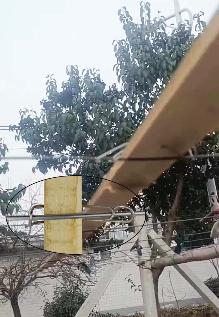 葡萄避雨棚竹片卡扣不锈钢避雨夹玻纤杆接管压顶簧压膜夹大棚专用,淘宝优惠券,粉丝福利购,淘宝优惠卷