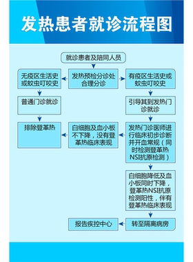 发热病人预检分诊流程图墙贴墙纸挂图发热患者就诊流程展板海报