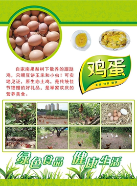 自家散养土鸡蛋海报展板土鸡蛋散养土鸡蛋纯正土鸡下纯正的土鸡蛋
